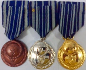 Piagam Satyalancana Karya Satya PNS
