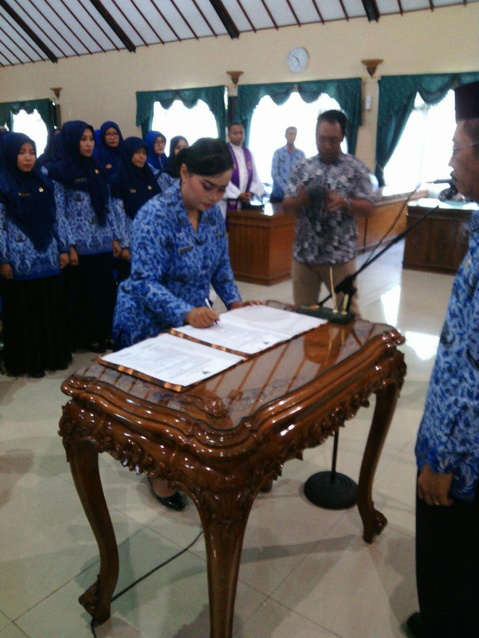 PENYERAHAN SK PNS DAN PENGAMBILAN SUMPAH/JANJI PNS FORMASI BIDAN PTT  DAN THL-LB PENYULUH PERTANIAN
