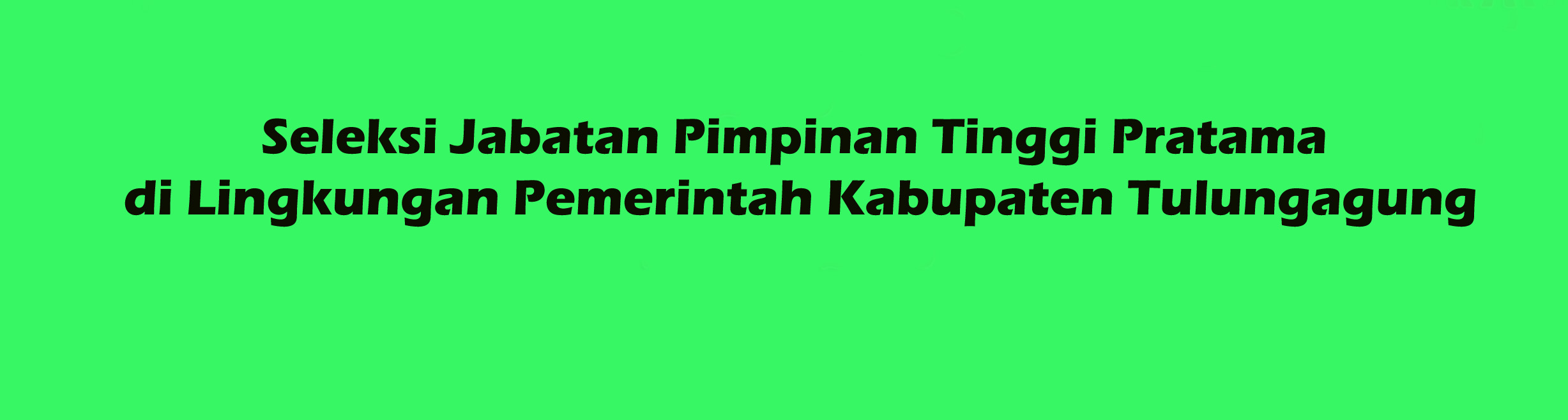 Seleksi Jabatan Pimpinan Tinggi Pratama di Lingkungan Pemerintah Kabupaten Tulungagung